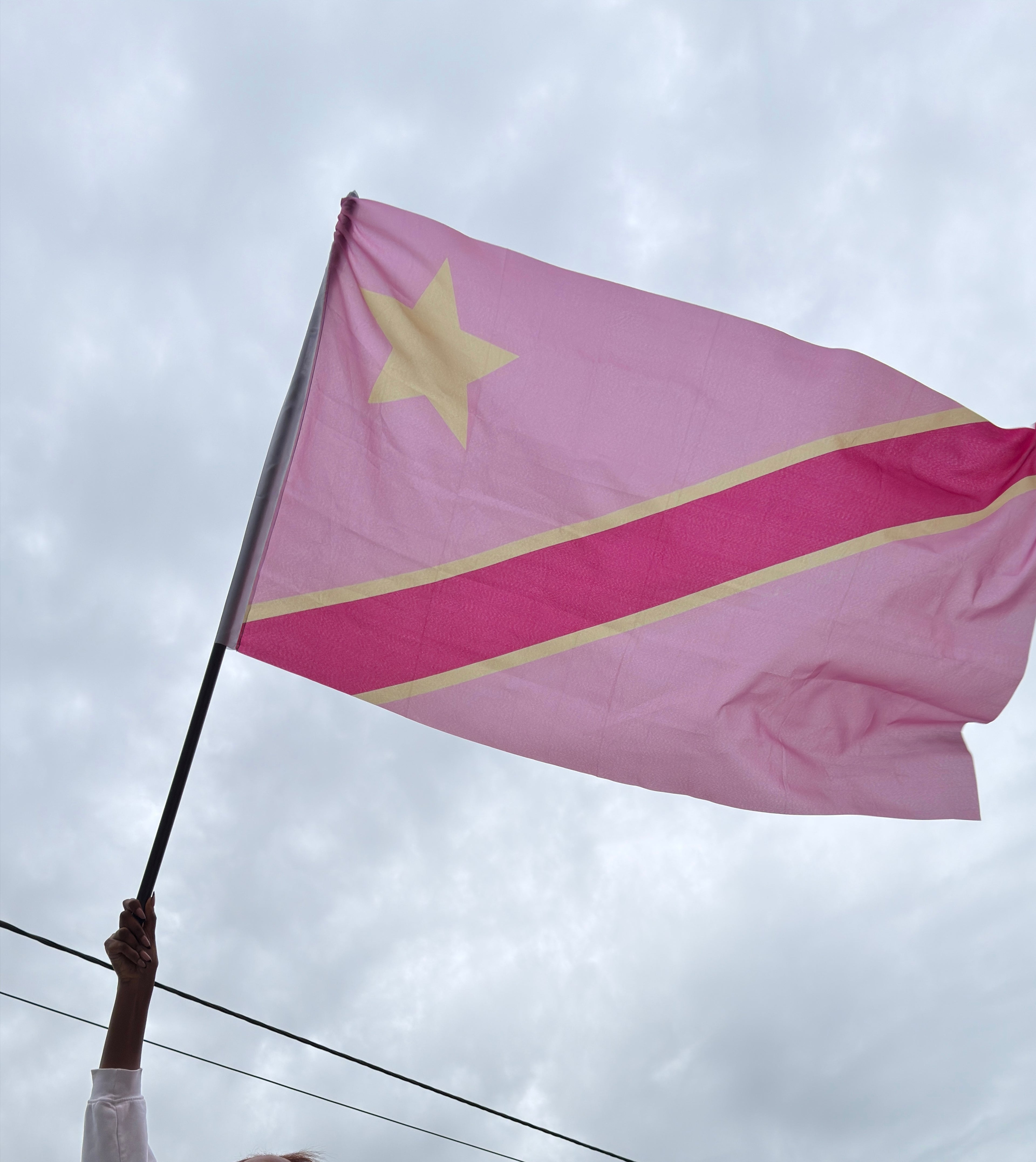 Pink Flag