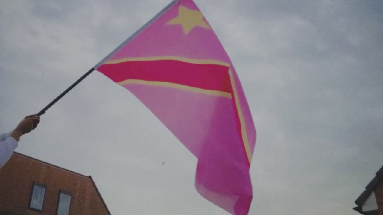 Pink Flag